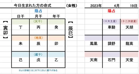 算陰命|陰占・陽占の見方 